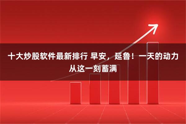 十大炒股软件最新排行 早安，延鲁！一天的动力从这一刻蓄满