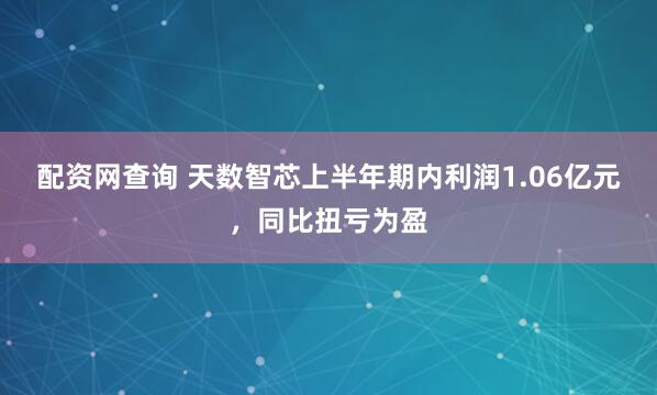 配资网查询 天数智芯上半年期内利润1.06亿元，同比扭亏为盈