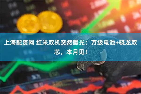 上海配资网 红米双机突然曝光：万级电池+骁龙双芯，本月见！